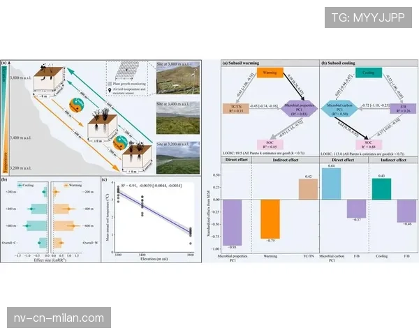 巴尔科拉 vs 穆西亚拉：技术风格与进攻参与度差异